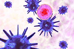 Autoimmune Conditions