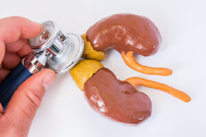 stethoscope on model of adrenal glands on kidneys