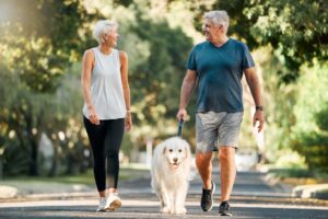 Senior man and woman walking a large white dog in a neighborhood